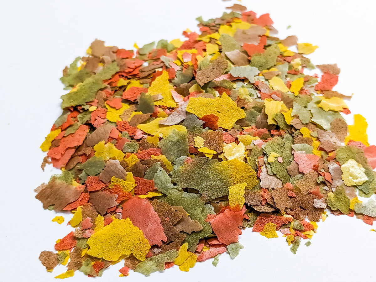 Forest Aquatics Holiday Futterblock - 30g, Für Aquarium Fische & Garnelen