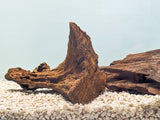 Driftwood 15-25cm