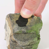 Dennerle Shrimp King Yummy Gum 50g