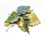Birch Leaves 10g