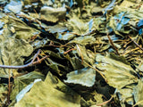 Birch Leaves 10g