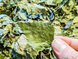 Birch Leaves 10g
