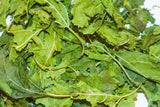 Mulberry Leaves