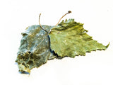 Birch Leaves 10g