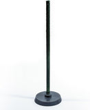 Spirulina Shrimp Lollies