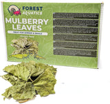 Mulberry Leaves