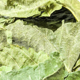 Mulberry Leaves