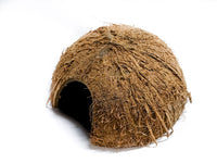 Coconut Cave