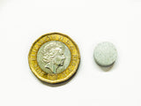 Mineral Shrimp & Snail Tablets