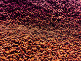 Astaxanthin Fish Food Granules