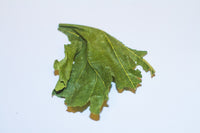 Mulberry Leaves 10g