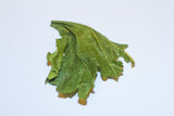 Mulberry Leaves 10g