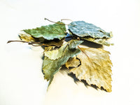 Birch Leaves 10g